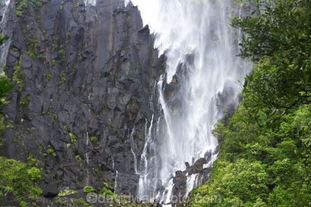 beautiful;beauty;blow;blowing;brook;brooks;bush;cascade;cascades;creek;creeks;doc;endemic;falls;fern;ferns;forest;forests;green;gust;gusty;hiking-track;hiking-tracks;Kaimai-Ranges;lush;Matamata;moss;native;native-bush;native-forest;natives;natural;nature;New-Zealand;north-is.;north-island;northland;rain-forest;rain-forests;rain_forest;rain_forests;rainforest;rainforests;rapid;rapids;river;rivers;scene;scenic;stream;streams;strong-wind;timber;tracks;tree;trees;verdant;Waikato;Wairere-Falls;Wairere-Falls-Scenic-Reserve;wairere-stream;walking-track;walking-tracks;water;water-fall;water-falls;waterfall;waterfalls;wet;wind;windy;wood;woods