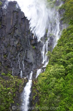 beautiful;beauty;blow;blowing;brook;brooks;bush;cascade;cascades;creek;creeks;doc;endemic;falls;fern;ferns;forest;forests;green;gust;gusty;hiking-track;hiking-tracks;Kaimai-Ranges;lush;Matamata;moss;native;native-bush;native-forest;natives;natural;nature;New-Zealand;north-is.;north-island;northland;rain-forest;rain-forests;rain_forest;rain_forests;rainforest;rainforests;rapid;rapids;river;rivers;scene;scenic;stream;streams;strong-wind;timber;tracks;tree;trees;verdant;Waikato;Wairere-Falls;Wairere-Falls-Scenic-Reserve;wairere-stream;walking-track;walking-tracks;water;water-fall;water-falls;waterfall;waterfalls;wet;wind;windy;wood;woods