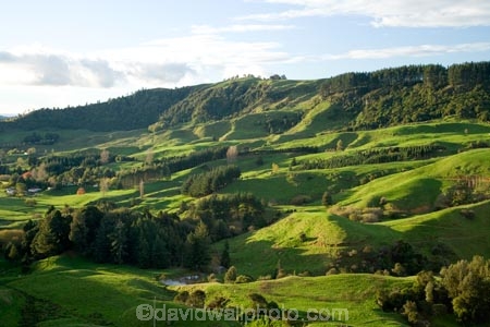agricultural;agriculture;country;countryside;farm;farming;farmland;farms;field;fields;green;King-Country;Mapara-Stream;meadow;meadows;N.I.;N.Z.;New-Zealand;NI;North-Island;NZ;paddock;paddocks;pasture;pastures;rural;Te-Kuiti;Waikato-Region