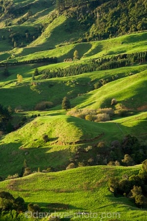 agricultural;agriculture;country;countryside;farm;farming;farmland;farms;field;fields;green;King-Country;Mapara-Stream;meadow;meadows;N.I.;N.Z.;New-Zealand;NI;North-Island;NZ;paddock;paddocks;pasture;pastures;rural;Te-Kuiti;Waikato-Region