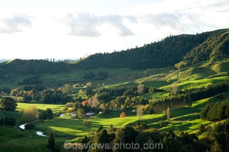 agricultural;agriculture;autuminal;autumn;autumn-colour;autumn-colours;autumnal;color;colors;colour;colours;country;countryside;deciduous;fall;farm;farming;farmland;farms;field;fields;green;King-Country;leaf;leaves;Mapara-Stream;meadow;meadows;N.I.;N.Z.;New-Zealand;NI;North-Island;NZ;paddock;paddocks;pasture;pastures;rural;season;seasonal;seasons;Te-Kuiti;tree;trees;Waikato-Region