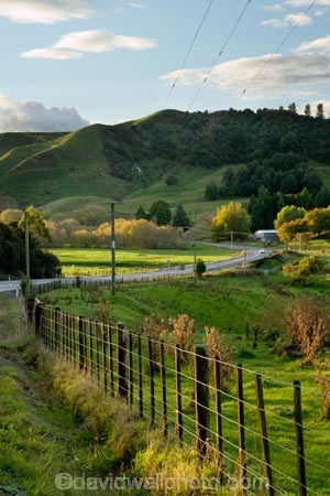 agricultural;agriculture;autuminal;autumn;autumn-colour;autumn-colours;autumnal;bend;bends;color;colors;colour;colours;corner;corners;country;countryside;deciduous;driving;fall;farm;farming;farmland;farms;fecnes;fence;fence-line;fence-lines;fenceline;fencelines;field;fields;green;highway;highways;King-Country;leaf;leaves;Mapara-Stream;meadow;meadows;N.I.;N.Z.;New-Zealand;NI;North-Island;NZ;open-road;open-roads;paddock;paddocks;pasture;pastures;road;road-trip;roads;rural;season;seasonal;seasons;straight;Te-Kuiti;transport;transportation;travel;traveling;travelling;tree;trees;trip;Waikato-Region