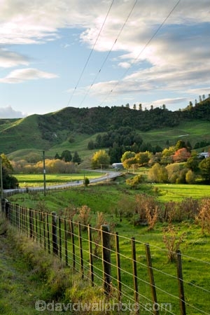 agricultural;agriculture;autuminal;autumn;autumn-colour;autumn-colours;autumnal;bend;bends;color;colors;colour;colours;corner;corners;country;countryside;deciduous;driving;fall;farm;farming;farmland;farms;fecnes;fence;fence-line;fence-lines;fenceline;fencelines;field;fields;green;highway;highways;King-Country;leaf;leaves;Mapara-Stream;meadow;meadows;N.I.;N.Z.;New-Zealand;NI;North-Island;NZ;open-road;open-roads;paddock;paddocks;pasture;pastures;road;road-trip;roads;rural;season;seasonal;seasons;straight;Te-Kuiti;transport;transportation;travel;traveling;travelling;tree;trees;trip;Waikato-Region