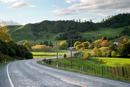 agricultural;agriculture;autuminal;autumn;autumn-colour;autumn-colours;autumnal;bend;bends;centre-line;centre-lines;centre_line;centre_lines;centreline;centrelines;color;colors;colour;colours;corner;corners;country;countryside;deciduous;driving;fall;farm;farming;farmland;farms;fecnes;fence;fence-line;fence-lines;fenceline;fencelines;field;fields;highway;highways;King-Country;leaf;leaves;Mapara-Stream;meadow;meadows;N.I.;N.Z.;New-Zealand;NI;North-Island;NZ;open-road;open-roads;paddock;paddocks;pasture;pastures;road;road-trip;roads;rural;season;seasonal;seasons;straight;Te-Kuiti;transport;transportation;travel;traveling;travelling;tree;trees;trip;Waikato-Region