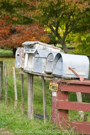 agricultural;agriculture;autuminal;autumn;autumn-colour;autumn-colours;autumnal;color;colors;colour;colours;country;countryside;deciduous;fall;farm;farming;farmland;farms;field;fields;King-Country;leaf;leaves;letter-box;letter-boxes;letterbox;letterboxes;mail-box;mail-boxes;mailbox;mailboxes;meadow;meadows;N.I.;N.Z.;New-Zealand;NI;North-Island;NZ;paddock;paddocks;pasture;pastures;rural;rural-letter-boxes;rural-mail;season;seasonal;seasons;tree;trees