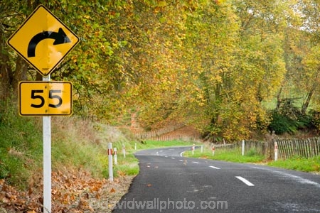 autuminal;autumn;autumn-colour;autumn-colours;autumnal;bend;bends;centre-line;centre-lines;centre_line;centre_lines;centreline;centrelines;color;colors;colour;colours;corner;corners;curve;deciduous;driving;fall;Forgotten-World-Highway;King-Country;leaf;leaves;N.I.;N.Z.;New-Zealand;NI;North-Island;NZ;open-road;open-roads;Road;road-sign;road-signs;road-trip;roads;season;seasonal;seasons;Tokirima;transport;transportation;travel;traveling;travelling;tree;trees;trip;warnign-signs;warning-sign