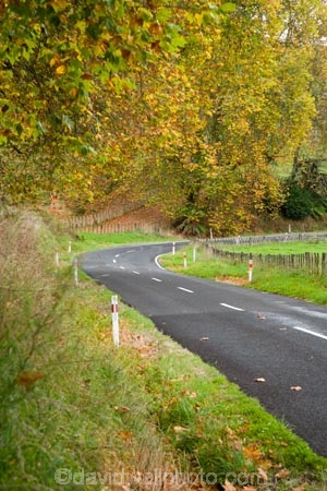 autuminal;autumn;autumn-colour;autumn-colours;autumnal;bend;bends;centre-line;centre-lines;centre_line;centre_lines;centreline;centrelines;color;colors;colour;colours;corner;corners;deciduous;driving;fall;Forgotten-World-Highway;King-Country;leaf;leaves;N.I.;N.Z.;New-Zealand;NI;North-Island;NZ;open-road;open-roads;road;road-trip;roads;season;seasonal;seasons;Tokirima;transport;transportation;travel;traveling;travelling;tree;trees;trip