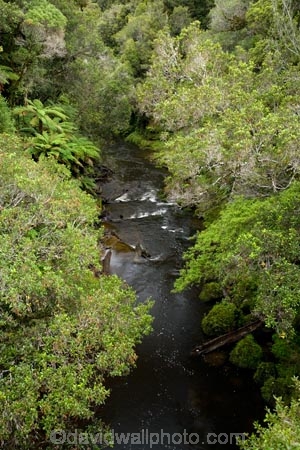 Forgotten-World-Highway;King-Country;N.I.;N.Z.;New-Zealand;NI;North-Island;NZ;river;rivers;Tangarakau-Gorge;Tangarakau-River