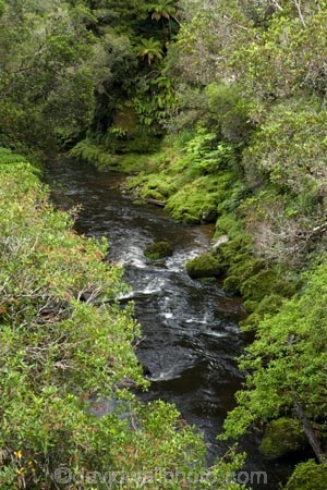 Forgotten-World-Highway;King-Country;N.I.;N.Z.;New-Zealand;NI;North-Island;NZ;river;rivers;Tangarakau-Gorge;Tangarakau-River