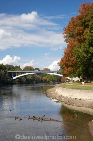 autuminal;autumn;autumn-colour;autumn-colours;autumnal;bridge;bridges;color;colors;colour;colours;deciduous;fall;Hamilton;leaf;leaves;N.I.;N.Z.;New-Zealand;NI;North-Island;NZ;river;rivers;season;seasonal;seasons;tree;trees;Victoria-Bridge;Waikato;Waikato-River