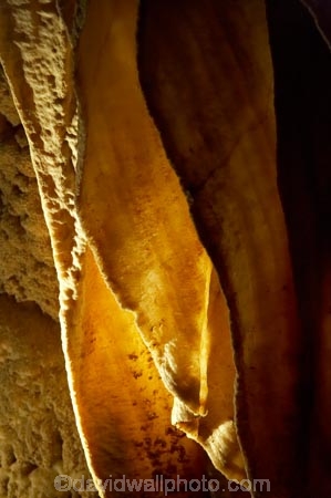 cave;cavern;caverns;caves;caving;geographic;geographical;geography;geological-feature;geological-features;geological-formation;geological-formations;King-Country;limestone-cave;limestone-caves;N.I.;N.Z.;nature;New-Zealand;NI;North-Island;NZ;potholing;Ruakuri-Cave;Ruakuri-Caves;spelunk;spelunking;stalactite;stalactites;stalagmite;stalagmites;tourism;travel;under-ground;under_ground;underground;Waikato;Waitomo;Waitomo-Cave;Waitomo-Caves