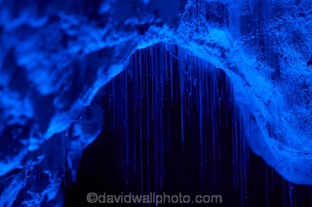 cave;cavern;caverns;caves;caving;geographic;geographical;geography;geological-feature;geological-features;geological-formation;geological-formations;glow-worm;glow-worms;glow_worm;glow_worms;glowworm;glowworms;King-Country;limestone-cave;limestone-caves;luminocilty;luminous;N.I.;N.Z.;nature;New-Zealand;NI;North-Island;NZ;potholing;Ruakuri-Cave;Ruakuri-Caves;spelunk;spelunking;tourism;travel;under-ground;under_ground;underground;Waikato;Waitomo;Waitomo-Cave;Waitomo-Caves