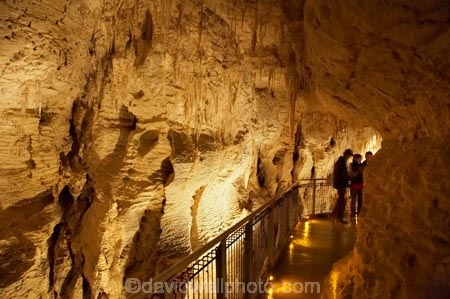 cave;cavern;caverns;caves;caving;geographic;geographical;geography;geological-feature;geological-features;geological-formation;geological-formations;King-Country;limestone-cave;limestone-caves;N.I.;N.Z.;nature;New-Zealand;NI;North-Island;NZ;people;person;potholing;Ruakuri-Cave;Ruakuri-Caves;spelunk;spelunking;stalactite;stalactites;stalagmite;stalagmites;tourism;tourist;tourists;travel;under-ground;under_ground;underground;Waikato;Waitomo;Waitomo-Cave;Waitomo-Caves