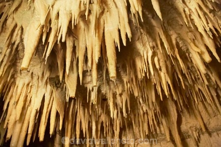 Aranui-Cave;Aranui-Caves;cave;cavern;caverns;caves;caving;geographic;geographical;geography;geological-feature;geological-features;geological-formation;geological-formations;King-Country;limestone-cave;limestone-caves;N.I.;N.Z.;nature;New-Zealand;NI;North-Island;NZ;potholing;spelunk;spelunking;stalactite;stalactites;stalagmite;stalagmites;tourism;travel;under-ground;under_ground;underground;Waikato;Waitomo;Waitomo-Cave;Waitomo-Caves