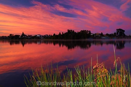 break-of-day;calm;dawn;dawning;daybreak;first-light;Hamilton-Lake;Hamilton-Lake-Domain;lake;Lake-Domain-Reserve;Lake-Hamilton;Lake-Rotoroa;lakes;morning;N.Z.;New-Zealand;North-Is;North-Island;Nth-Is;NZ;orange;pink;placid;quiet;reflected;reflection;reflections;serene;smooth;still;sunrise;sunrises;sunup;tranquil;twilight;Waikato;water