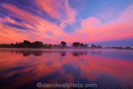 break-of-day;calm;dawn;dawning;daybreak;first-light;Hamilton-Lake;Hamilton-Lake-Domain;lake;Lake-Domain-Reserve;Lake-Hamilton;Lake-Rotoroa;lakes;morning;N.Z.;New-Zealand;North-Is;North-Island;Nth-Is;NZ;orange;pink;placid;quiet;reflected;reflection;reflections;serene;smooth;still;sunrise;sunrises;sunup;tranquil;twilight;Waikato;water