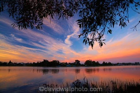 break-of-day;calm;dawn;dawning;daybreak;first-light;Hamilton-Lake;Hamilton-Lake-Domain;lake;Lake-Domain-Reserve;Lake-Hamilton;Lake-Rotoroa;lakes;morning;N.Z.;New-Zealand;North-Is;North-Island;Nth-Is;NZ;orange;pink;placid;quiet;reflected;reflection;reflections;serene;smooth;still;sunrise;sunrises;sunup;tranquil;twilight;Waikato;water