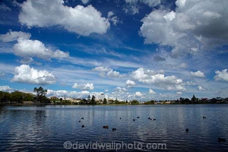 calm;cloud;clouds;duck;ducks;Hamilton-Hospital;Hamilton-Lake;Hamilton-Lake-Domain;hospiitals;hospital;lake;Lake-Hamilton;Lake-Rotoroa;lakes;N.Z.;New-Zealand;North-Is;North-Island;Nth-Is;NZ;placid;quiet;reflected;reflection;reflections;serene;smooth;still;tranquil;Waikato;Waikato-DHB;Waikato-District-Health-Board;Waikato-Hospital;water