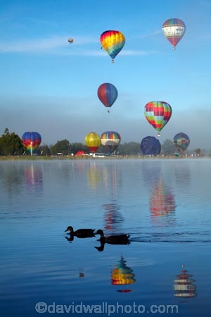 adventure;air;aviation;balloon;ballooning;balloons;Balloons-over-Waikato;Balloons-over-Waikato-Festival;calm;flight;float;floating;fly;flying;Hamilton-Lake;Hamilton-Lake-Domain;hot-air-balloon;hot-air-ballooning;hot-air-balloons;Hot-Air-Balloons-over-Waikato;Hot_air-Balloon;hot_air-ballooning;hot_air-balloons;hotair-balloon;hotair-balloons;Innes-Common;lake;Lake-Domain-Reserve;Lake-Hamilton;Lake-Rotoroa;lakes;N.Z.;New-Zealand;North-Is;North-Island;Nth-Is;NZ;placid;quiet;reflected;reflection;reflections;serene;smooth;still;tranquil;transport;transportation;Waikato;Waikato-Balloon-Festival;Waikato-Hot-Air-Balloon-Festival;water
