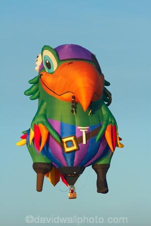 adventure;air;aviation;balloon;ballooning;balloons;Balloons-over-Waikato;Balloons-over-Waikato-Festival;flight;float;floating;fly;flying;Hamilton-Lake-Domain;hot-air-balloon;hot-air-ballooning;hot-air-balloons;Hot-Air-Balloons-over-Waikato;Hot_air-Balloon;hot_air-ballooning;hot_air-balloons;hotair-balloon;hotair-balloons;Innes-Common;Lake-Domain-Reserve;N.Z.;New-Zealand;North-Is;North-Island;Nth-Is;NZ;Peg-Leg-Pete-the-Pirate-Parrot-Balloon;Peg-Leg-Pete-the-Pirate-Parrot-Hot-Air-Balloon;Pirate-Parrot-Balloon;Pirate-Parrot-Hot-Air-Balloon;transport;transportation;Waikato;Waikato-Balloon-Festival;Waikato-Hot-Air-Balloon-Festival