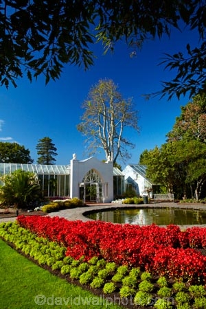 botanic-garden;botanic-gardens;botanical-garden;botanical-gardens;flower;flower-bed;flower-beds;flower-garden;flower-gardens;flowers;fountain;fountains;garden;gardens;Hamilton-Garden;Hamilton-Gardens;N.Z.;New-Zealand;North-Is;North-Island;Nth-Is;NZ;pond;ponds;public-garden;public-gardens;red;red-flower;red-flowers;Victorian-Flower-Garden;Victorian-Flower-Gardens;Victorian-Garden-Conservatory;Waikato;water-feature;water-features