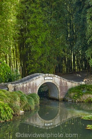 bamboo;botanic-garden;botanic-gardens;botanical-garden;botanical-gardens;bridge;bridges;calm;Chinese-Scholars-Garden;Chinese-Scholars-Gardens;Chinese-Scholars-Garden;Chinese-Scholars-Gardens;foot-bridge;foot-bridges;footbridge;footbridges;garden;gardens;Hamilton-Garden;Hamilton-Gardens;N.Z.;New-Zealand;North-Is;North-Island;Nth-Is;NZ;Paradise-Collection;Paradise-Garden-Collection;pedestrian-bridge;pedestrian-bridges;placid;pond;ponds;public-garden;public-gardens;quiet;reflected;reflection;reflections;serene;smooth;still;tranquil;Waikato;water;water-feature;water-features