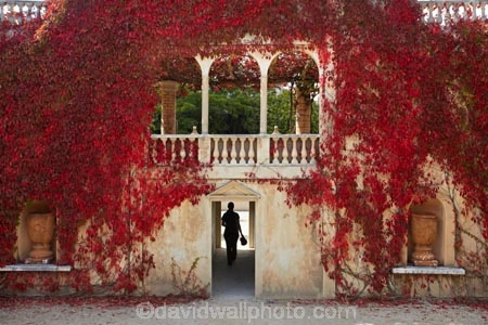 autuminal;autumn;autumn-colour;autumn-colours;autumnal;balcony;botanic-garden;botanic-gardens;botanical-garden;botanical-gardens;Caesars-Balcony;color;colors;colour;colours;deciduous;fall;garden;gardens;Hamilton-Garden;Hamilton-Gardens;Italian-Renaissance-Garden;Italian-Renaissance-Gardens;leaf;leaves;N.Z.;New-Zealand;North-Is;North-Island;Nth-Is;NZ;Paradise-Collection;Paradise-Garden-Collection;people;person;public-garden;public-gardens;red;season;seasonal;seasons;Waikato