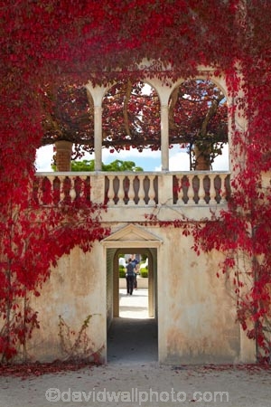 autuminal;autumn;autumn-colour;autumn-colours;autumnal;balcony;botanic-garden;botanic-gardens;botanical-garden;botanical-gardens;Caesars-Balcony;color;colors;colour;colours;deciduous;fall;garden;gardens;Hamilton-Garden;Hamilton-Gardens;Italian-Renaissance-Garden;Italian-Renaissance-Gardens;leaf;leaves;N.Z.;New-Zealand;North-Is;North-Island;Nth-Is;NZ;Paradise-Collection;Paradise-Garden-Collection;people;person;public-garden;public-gardens;red;season;seasonal;seasons;Waikato