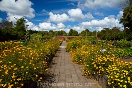 botanic-garden;botanic-gardens;botanical-garden;botanical-gardens;flower;flower-bed;flower-beds;flower-garden;flower-gardens;flowers;garden;gardens;Hamilton-Garden;Hamilton-Gardens;Kitchen-Garden;Kitchen-Gardens;N.Z.;New-Zealand;North-Is;North-Island;Nth-Is;NZ;Productive-Collection;Productive-Garden-Collection;public-garden;public-gardens;Waikato