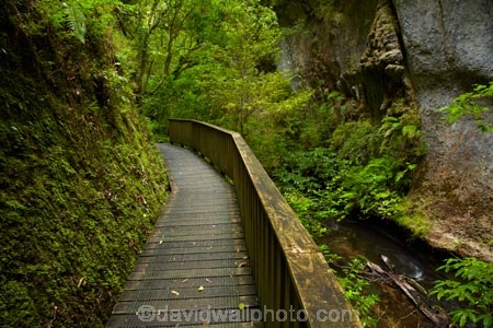 brook;brooks;bush;creek;creeks;green-lush;Mangapohue-Natural-Bridge;Mangapohue-Stream;N.Z.;native-bush;native-forest;New-Zealand;North-Is;North-Island;Nth-Is;NZ;stream;streams;track;tracks;verdant;Waikato;Waikato-Region;Waitomo-District;walking-track;walking-tracks