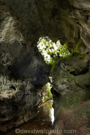 arch;arches;cave;caves;geological;geology;Mangapohue-Natural-Bridge;N.Z.;natural-tunnel;natural-tunnels;New-Zealand;North-Is;North-Island;Nth-Is;NZ;rock;rock-arch;rock-arches;rock-formation;rock-formations;unusual-natural-feature;unusual-natural-features;Waikato;Waikato-Region;Waitomo-District