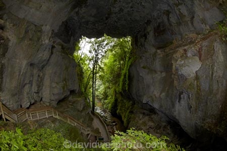 arch;arches;cave;caves;geological;geology;Mangapohue-Natural-Bridge;N.Z.;natural-tunnel;natural-tunnels;New-Zealand;North-Is;North-Island;Nth-Is;NZ;rock;rock-arch;rock-arches;rock-formation;rock-formations;unusual-natural-feature;unusual-natural-features;Waikato;Waikato-Region;Waitomo-District