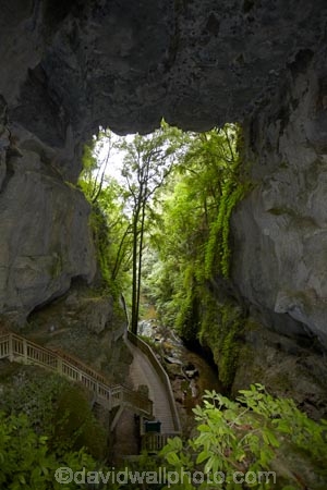arch;arches;cave;caves;geological;geology;Mangapohue-Natural-Bridge;N.Z.;natural-tunnel;natural-tunnels;New-Zealand;North-Is;North-Island;Nth-Is;NZ;rock;rock-arch;rock-arches;rock-formation;rock-formations;unusual-natural-feature;unusual-natural-features;Waikato;Waikato-Region;Waitomo-District