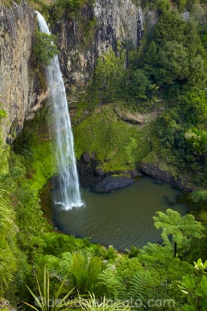 Bridal-Veil-Fall;Bridal-Veil-Falls;Bridalveil-Fall;Bridalveil-Falls;cascade;cascades;fall;falls;green;lush;N.Z.;natural;nature;New-Zealand;North-Is;North-Island;Nth-Is;NZ;Pakoka-River;scene;scenic;Waikato;Waireinga;water;water-fall;water-falls;waterfall;waterfalls;wet