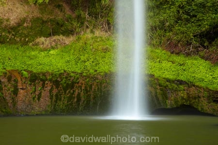 Bridal-Veil-Fall;Bridal-Veil-Falls;Bridalveil-Fall;Bridalveil-Falls;cascade;cascades;fall;falls;green;lush;N.Z.;natural;nature;New-Zealand;North-Is;North-Island;Nth-Is;NZ;Pakoka-River;scene;scenic;Waikato;Waireinga;water;water-fall;water-falls;waterfall;waterfalls;wet