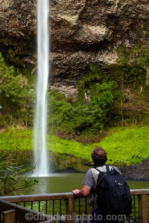 Bridal-Veil-Fall;Bridal-Veil-Falls;Bridalveil-Fall;Bridalveil-Falls;cascade;cascades;fall;falls;green;lush;N.Z.;natural;nature;New-Zealand;North-Is;North-Island;Nth-Is;NZ;Pakoka-River;people;person;scene;scenic;tourism;tourist;tourists;Waikato;Waireinga;water;water-fall;water-falls;waterfall;waterfalls;wet