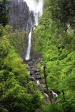 beautiful;beauty;blow;blowing;brook;brooks;bush;cascade;cascades;creek;creeks;doc;endemic;falls;fern;ferns;forest;forests;green;gust;gusty;hiking-track;hiking-tracks;Kaimai-Ranges;lush;Matamata;moss;native;native-bush;native-forest;natives;natural;nature;New-Zealand;north-is.;north-island;northland;rain-forest;rain-forests;rain_forest;rain_forests;rainforest;rainforests;rapid;rapids;river;rivers;scene;scenic;stream;streams;strong-wind;timber;tracks;tree;trees;verdant;Waikato;Wairere-Falls;Wairere-Falls-Scenic-Reserve;wairere-stream;walking-track;walking-tracks;water;water-fall;water-falls;waterfall;waterfalls;wet;wind;windy;wood;woods