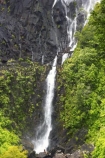 beautiful;beauty;blow;blowing;brook;brooks;bush;cascade;cascades;creek;creeks;doc;endemic;falls;fern;ferns;forest;forests;green;gust;gusty;hiking-track;hiking-tracks;Kaimai-Ranges;lush;Matamata;moss;native;native-bush;native-forest;natives;natural;nature;New-Zealand;north-is.;north-island;northland;rain-forest;rain-forests;rain_forest;rain_forests;rainforest;rainforests;rapid;rapids;river;rivers;scene;scenic;stream;streams;strong-wind;timber;tracks;tree;trees;verdant;Waikato;Wairere-Falls;Wairere-Falls-Scenic-Reserve;wairere-stream;walking-track;walking-tracks;water;water-fall;water-falls;waterfall;waterfalls;wet;wind;windy;wood;woods