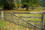 autuminal;autumn;autumn-colour;autumn-colours;autumnal;color;colors;colour;colours;deciduous;fall;gate;gates;gateway;gateways;King-Country;leaf;leaves;N.I.;N.Z.;New-Zealand;NI;North-Island;NZ;season;seasonal;seasons;Taurarunui;tree;trees