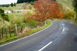 agricultural;agriculture;autumn;autumn-colour;autumn-colours;autumnal;bend;bends;color;colors;colour;colours;corner;corners;country;countryside;deciduous;driving;fall;farm;farming;farmland;farms;field;fields;Forgotten-World-Highway;King-Country;leaf;leaves;meadow;meadows;N.I.;N.Z.;New-Zealand;NI;North-Island;NZ;open-road;open-roads;paddock;paddocks;pasture;pastures;road;road-trip;roads;rural;season;seasonal;seasons;Taumarunui-_-Stratford;transport;transportation;travel;traveling;travelling;tree;trees;trip
