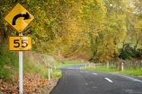 autuminal;autumn;autumn-colour;autumn-colours;autumnal;bend;bends;centre-line;centre-lines;centre_line;centre_lines;centreline;centrelines;color;colors;colour;colours;corner;corners;curve;deciduous;driving;fall;Forgotten-World-Highway;King-Country;leaf;leaves;N.I.;N.Z.;New-Zealand;NI;North-Island;NZ;open-road;open-roads;Road;road-sign;road-signs;road-trip;roads;season;seasonal;seasons;Tokirima;transport;transportation;travel;traveling;travelling;tree;trees;trip;warnign-signs;warning-sign