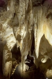 cave;cavern;caverns;caves;caving;geographic;geographical;geography;geological-feature;geological-features;geological-formation;geological-formations;King-Country;limestone-cave;limestone-caves;N.I.;N.Z.;nature;New-Zealand;NI;North-Island;NZ;potholing;Ruakuri-Cave;Ruakuri-Caves;spelunk;spelunking;stalactite;stalactites;stalagmite;stalagmites;tourism;travel;under-ground;under_ground;underground;Waikato;Waitomo;Waitomo-Cave;Waitomo-Caves