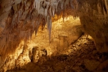 cave;cavern;caverns;caves;caving;geographic;geographical;geography;geological-feature;geological-features;geological-formation;geological-formations;King-Country;limestone-cave;limestone-caves;N.I.;N.Z.;nature;New-Zealand;NI;North-Island;NZ;potholing;Ruakuri-Cave;Ruakuri-Caves;spelunk;spelunking;stalactite;stalactites;stalagmite;stalagmites;tourism;travel;under-ground;under_ground;underground;Waikato;Waitomo;Waitomo-Cave;Waitomo-Caves