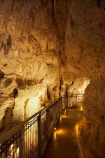 cave;cavern;caverns;caves;caving;geographic;geographical;geography;geological-feature;geological-features;geological-formation;geological-formations;King-Country;limestone-cave;limestone-caves;N.I.;N.Z.;nature;New-Zealand;NI;North-Island;NZ;potholing;Ruakuri-Cave;Ruakuri-Caves;spelunk;spelunking;stalactite;stalactites;stalagmite;stalagmites;tourism;travel;under-ground;under_ground;underground;Waikato;Waitomo;Waitomo-Cave;Waitomo-Caves