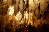 Aranui-Cave;Aranui-Caves;cave;cavern;caverns;caves;caving;geographic;geographical;geography;geological-feature;geological-features;geological-formation;geological-formations;King-Country;limestone-cave;limestone-caves;N.I.;N.Z.;nature;New-Zealand;NI;North-Island;NZ;people;person;potholing;spelunk;spelunking;stalactite;stalactites;stalagmite;stalagmites;tourism;tourist;tourists;travel;under-ground;under_ground;underground;Waikato;Waitomo;Waitomo-Cave;Waitomo-Caves