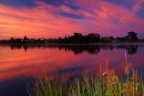 break-of-day;calm;dawn;dawning;daybreak;first-light;Hamilton-Lake;Hamilton-Lake-Domain;lake;Lake-Domain-Reserve;Lake-Hamilton;Lake-Rotoroa;lakes;morning;N.Z.;New-Zealand;North-Is;North-Island;Nth-Is;NZ;orange;pink;placid;quiet;reflected;reflection;reflections;serene;smooth;still;sunrise;sunrises;sunup;tranquil;twilight;Waikato;water