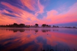 break-of-day;calm;dawn;dawning;daybreak;first-light;Hamilton-Lake;Hamilton-Lake-Domain;lake;Lake-Domain-Reserve;Lake-Hamilton;Lake-Rotoroa;lakes;morning;N.Z.;New-Zealand;North-Is;North-Island;Nth-Is;NZ;orange;pink;placid;quiet;reflected;reflection;reflections;serene;smooth;still;sunrise;sunrises;sunup;tranquil;twilight;Waikato;water