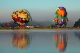 adventure;air;aviation;balloon;ballooning;balloons;Balloons-over-Waikato;Balloons-over-Waikato-Festival;calm;flight;float;floating;fly;flying;Hamilton-Lake;Hamilton-Lake-Domain;hot-air-balloon;hot-air-ballooning;hot-air-balloons;Hot-Air-Balloons-over-Waikato;Hot_air-Balloon;hot_air-ballooning;hot_air-balloons;hotair-balloon;hotair-balloons;Innes-Common;lake;Lake-Domain-Reserve;Lake-Hamilton;Lake-Rotoroa;lakes;N.Z.;New-Zealand;North-Is;North-Island;Nth-Is;NZ;Peg-Leg-Pete-the-Pirate-Parrot-Balloon;Peg-Leg-Pete-the-Pirate-Parrot-Hot-Air-Balloon;Pirate-Parrot-Balloon;Pirate-Parrot-Hot-Air-Balloon;placid;quiet;reflected;reflection;reflections;Resene-Balloon;Resene-Hot-Air-Balloon;Resene-Wild-About-Colour-Ark-Balloon;Resene-Wild-About-Colour-Ark-Hot-Air-Balloon;serene;smooth;still;tranquil;transport;transportation;Waikato;Waikato-Balloon-Festival;Waikato-Hot-Air-Balloon-Festival;water