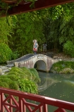 bamboo;botanic-garden;botanic-gardens;botanical-garden;botanical-gardens;bridge;bridges;calm;Chinese-Scholars-Garden;Chinese-Scholars-Gardens;Chinese-Scholars-Garden;Chinese-Scholars-Gardens;foot-bridge;foot-bridges;footbridge;footbridges;garden;gardens;Hamilton-Garden;Hamilton-Gardens;N.Z.;New-Zealand;North-Is;North-Island;Nth-Is;NZ;Paradise-Collection;Paradise-Garden-Collection;pedestrian-bridge;pedestrian-bridges;placid;pond;ponds;public-garden;public-gardens;quiet;reflected;reflection;reflections;serene;smooth;still;tranquil;Waikato;water;water-feature;water-features