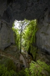 arch;arches;cave;caves;geological;geology;Mangapohue-Natural-Bridge;N.Z.;natural-tunnel;natural-tunnels;New-Zealand;North-Is;North-Island;Nth-Is;NZ;rock;rock-arch;rock-arches;rock-formation;rock-formations;unusual-natural-feature;unusual-natural-features;Waikato;Waikato-Region;Waitomo-District